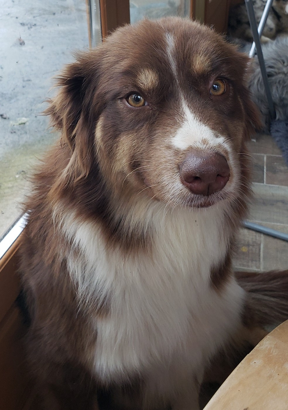 Telma Du Chemin De Mathenou